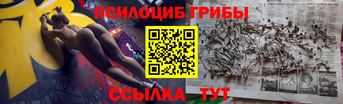 Галлюциногенные грибы Cubensis Углич